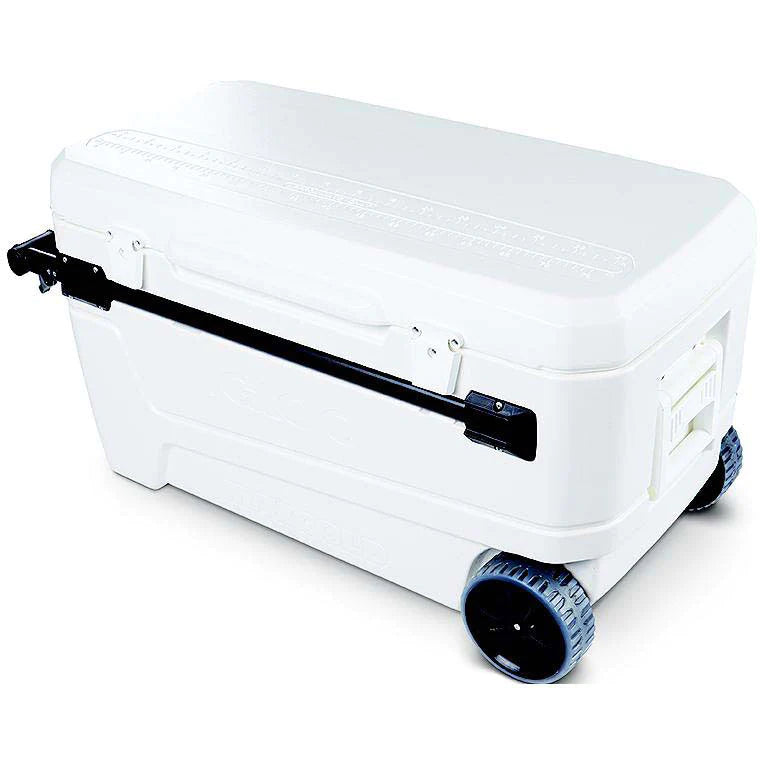 Coolers